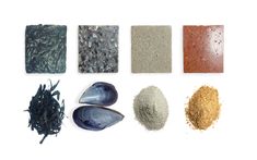 several different types of seaweed and sand on a white background with clippings