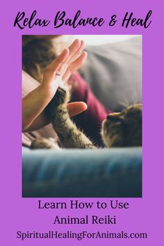 a person petting a cat with the text relax balance & heal learn how to use animal reiki