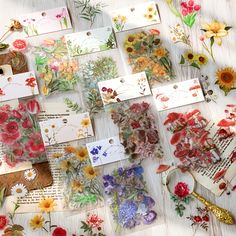 many different types of flowers are laid out on a table with cards and tags attached to them