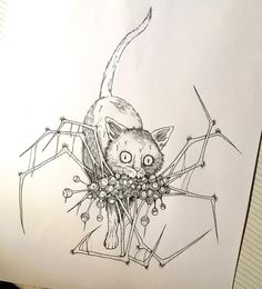 a drawing of a spider with a cat on it's back and eyes open