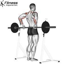 the back view of a man doing a barbell squat with his arms behind him