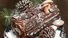 there is a chocolate cake with pine cones on it