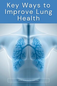 Key Ways to Improve Lung Health Lung Health, Lungs Health, Respiratory Health, Respiratory System, Lungs, Respiratory, Healthy Habits, Pinterest Board, Allergies