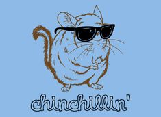 a cartoon mouse wearing sunglasses with the word chiniliin on it's chest