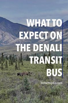 the words what to expect on the denali transit bus are in front of mountains