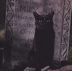 a black cat sitting on top of a grave