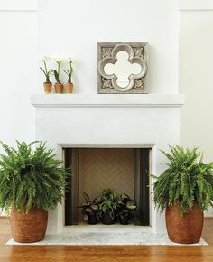 three potted plants sit in front of a fireplace with a mirror on the mantle