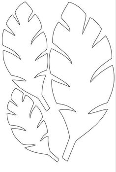 a drawing of two large leaves on a white background, with the outlines for each leaf