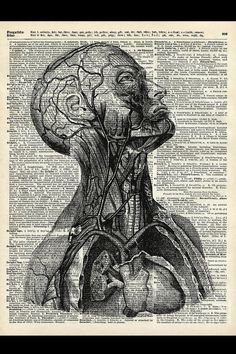 the human head and neck on an old dictionary book page poster, with black ink