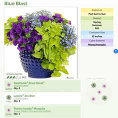 a blue vase filled with purple and green flowers