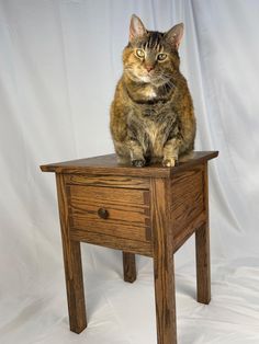 a cat is sitting on top of a small wooden table and looking at the camera