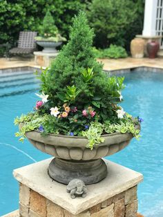 a potted planter sitting on top of a stone wall next to a swimming pool