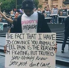 Animal Advocacy