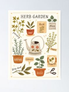 a poster with herbs and teapots on the front, says herb garden in english