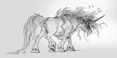 a black and white drawing of a horse with long hair on it's back