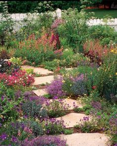 a garden filled with lots of different types of flowers