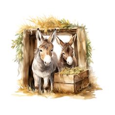 Donkey's in a Stable Fabric Panel - ineedfabric.com Donkey Art, Dickson Tennessee, Christmas Donkey, The Donkey, Birth Of Jesus, Fabric Panel, Digital Print Fabric, White Canvas, Pigment Ink