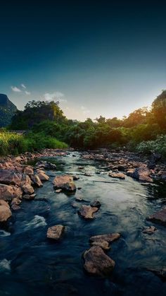 a river running through a lush green forest under a blue sky with the sun going down