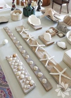 many different types of seashells are arranged on a table with shells and other items