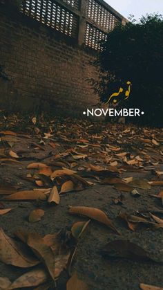 leaves on the ground in front of a brick wall with a sign that reads november