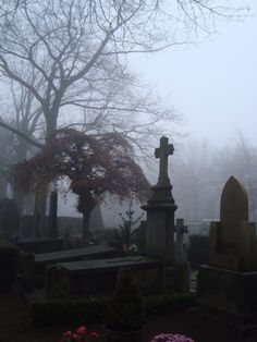 the cemetery is covered in fog and flowers