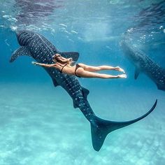 a woman swims next to a whale in the ocean