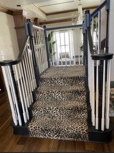 a leopard print carpeted staircase leading up to a second story door with wrought iron railings