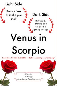 a red rose with the words venus in scorpio on it and an image of two