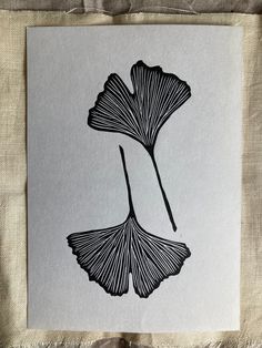 a black and white drawing of a ging sprout on a piece of paper