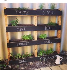 a wooden pallet filled with plants and herbs