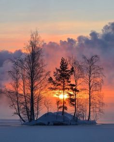 the sun is setting behind some trees in the middle of the snow covered ground with clouds