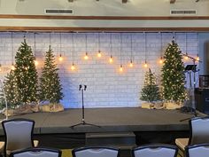 a stage set up with christmas trees and microphones