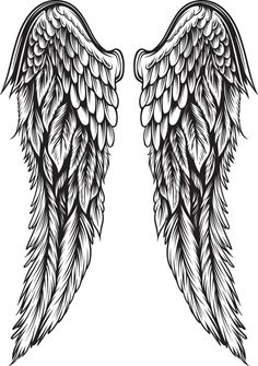 two black and white angel wings with long, thin feathers on the wings are drawn by hand