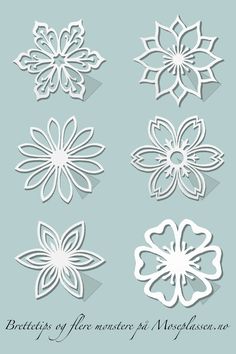 paper cut flowers on a light blue background with the words, butterflies and flower petals