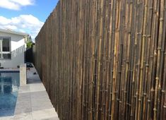 a bamboo fence next to a swimming pool