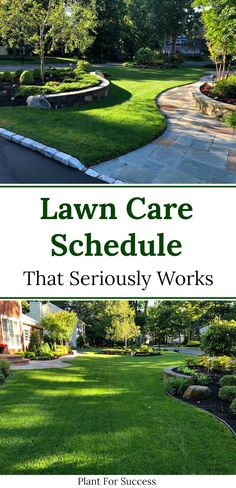 lawn care schedule that seriously works