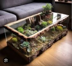 a glass table with succulents and plants on it in front of a couch