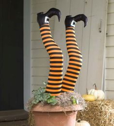 a potted plant with two legs in the shape of witches and pumpkins on it