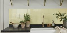 the kitchen counter is clean and ready to be used as a planter, sink, and faucet