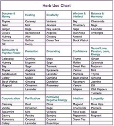 Herb Correspondences, Herb Uses, Herbal Witch, Witchcraft Herbs, Magickal Herbs, Witch Herbs, Magia Das Ervas, Medical Herbs