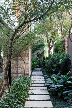 an outdoor walkway is surrounded by greenery and stone steps that lead up to the house