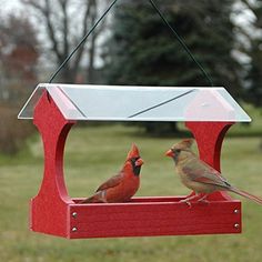 two birds are perched on a red bird feeder