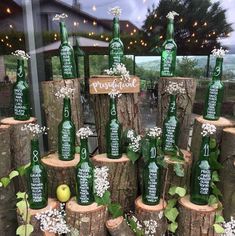 there are many green bottles on the tree stumps