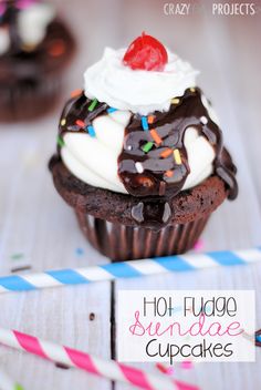 a chocolate cupcake with white frosting and sprinkles