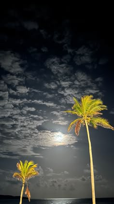 two palm trees on the beach under a full moon and dark sky with white clouds