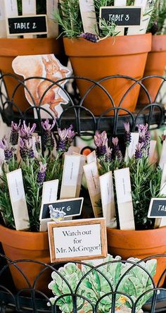 there are many potted plants on display in the planter boxes with name tags attached to them