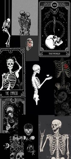 several different types of skeleton images in black and white