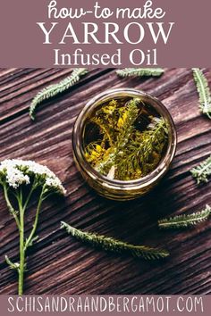 Let's learn how to make yarrow infused oil! We'll learn about yarrow (Achillea millefolium) oil uses, properties and how to make this easy natural DIY recipe right at home. Enjoy! Yarrow Uses, Infused Oil Recipes, Yarrow Oil, Yarrow Essential Oil, Medicinal Oils, Herbal Remedies Recipes, Medicinal Herbs Garden, Making Essential Oils