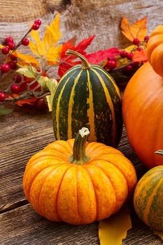 pumpkins and gourds on a wooden table