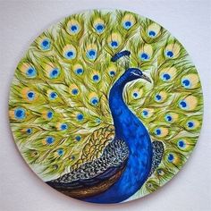 a blue and green peacock with feathers on it's back is standing in front of a white wall